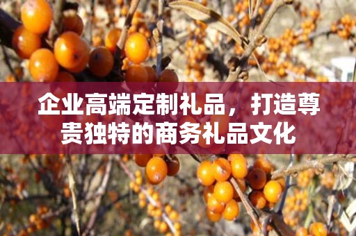 企业高端定制礼品，打造尊贵独特的商务礼品文化