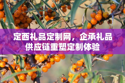 定西礼品定制网，企承礼品供应链重塑定制体验